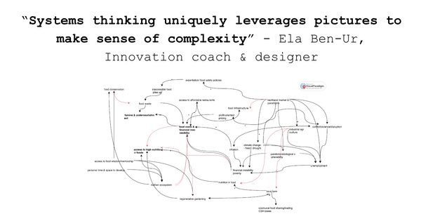 "Systems thinking uniquely leverages pictures to make sense of complexity" - Ela Ben-Ur