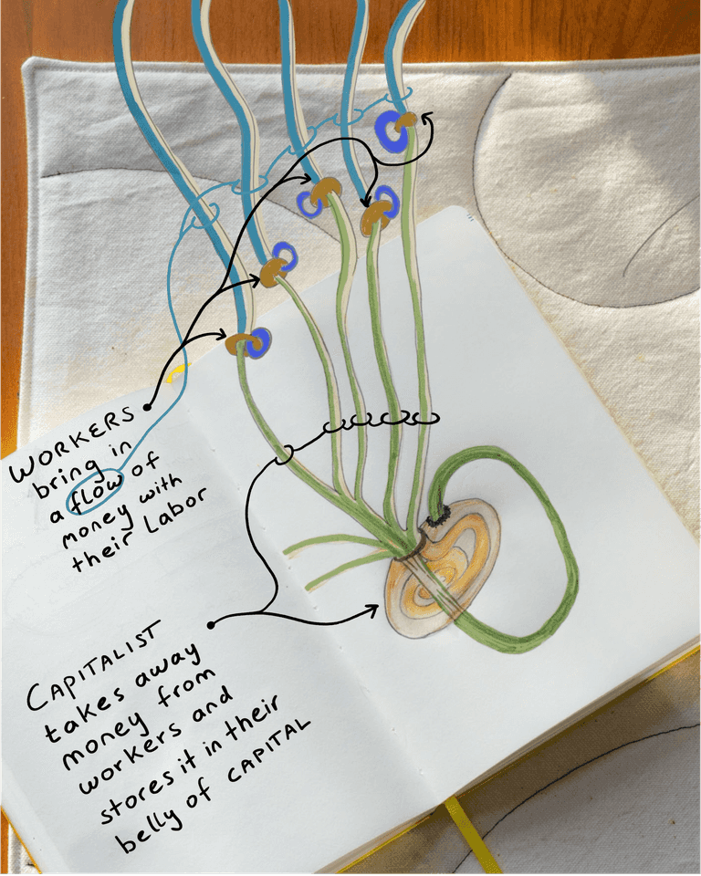 Visualizing money stealing and hoarding in capitalist economies