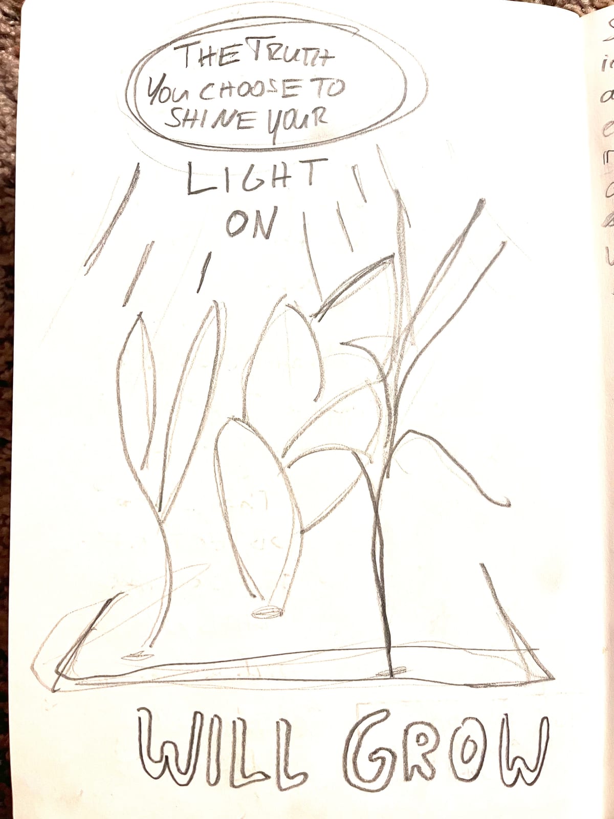 The same object of focus shows different truths depending on the perspective of the observer