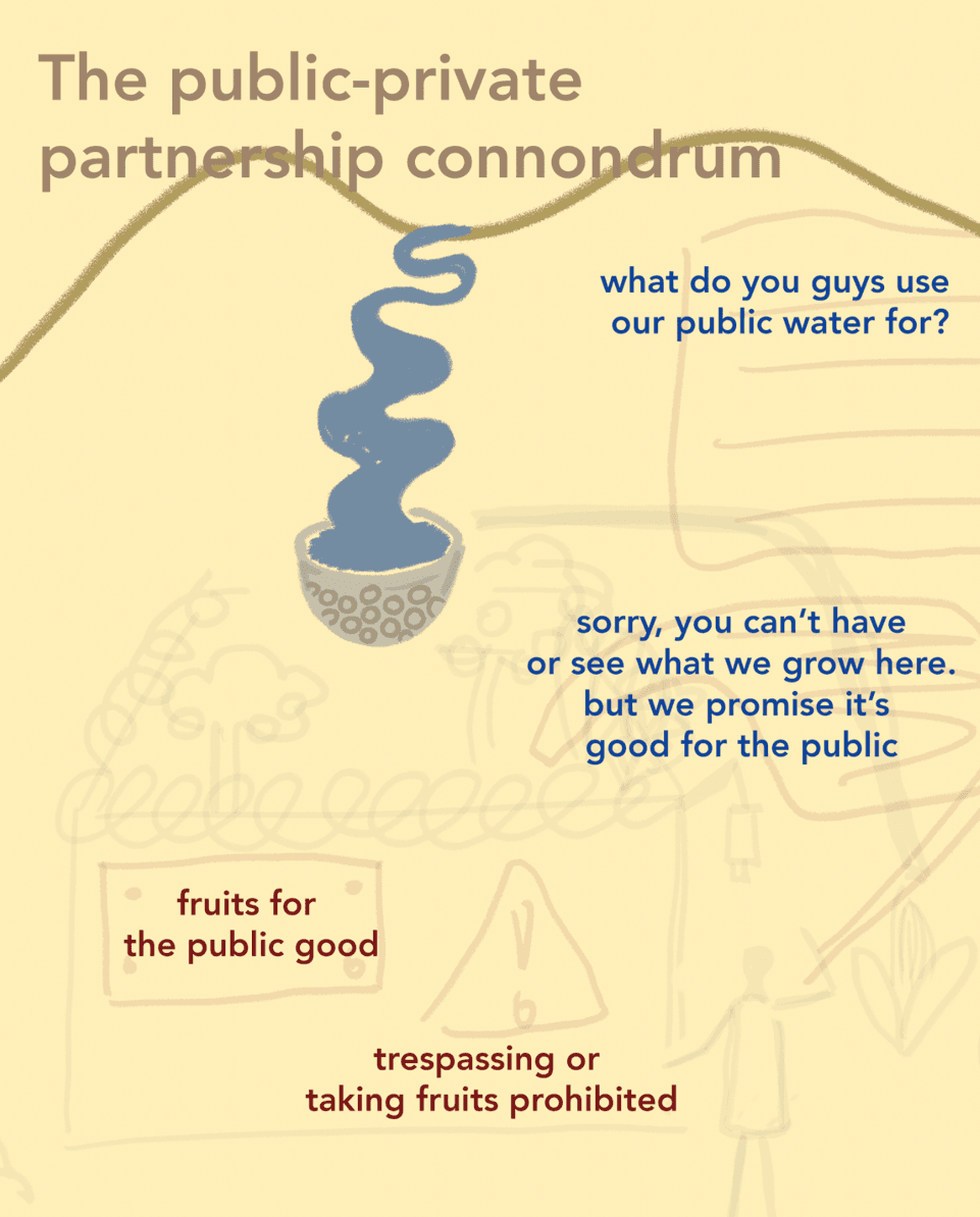 The public-private partnership conundrum