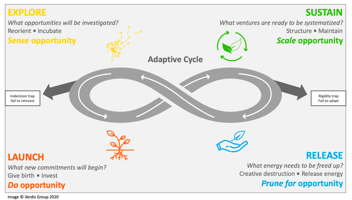 Adaptive cycles in natural systems