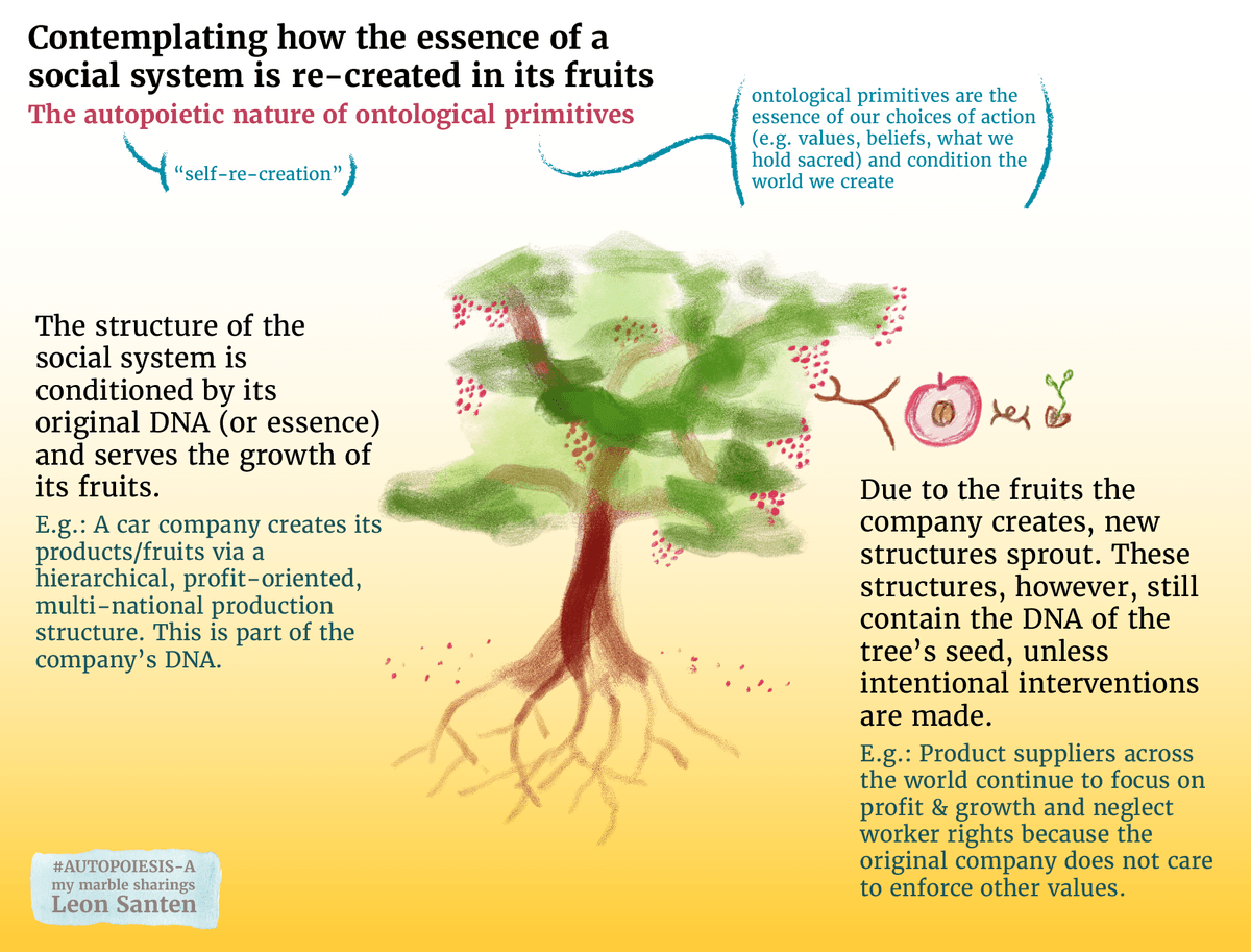How our social systems can be considered *alive* and reproduce their value essences